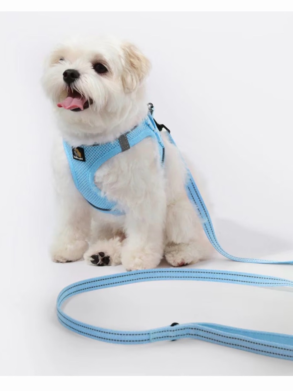 🫶🏻 Bella & Pal Oxymesh Light Blue Dog Harness and Leash Set